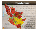 🍇BORDEAUX BIO "La P'tite Chapelle" 2018 (Rouge)