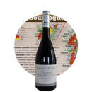 🍇H. CÔTES DE NUITS "Guy et Yvan Duf" 2020 (Rouge)