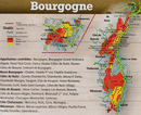 🍇H. CÔTES DE BEAUNE "Denis CARRÉ" 2020 (Rouge)