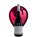 🍇H. CÔTES DE NUITS "Guy et Yvan Duf" 2020 (Rouge)