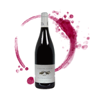 🍇SAINT-NICOLAS DE BOURGUEIL 2023 (Rouge)