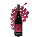 🍇VAL DE LOIRE "Grolleau" 2022 (Rouge)