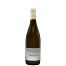 🍇SANCERRE "Domaine MARTIN" 2022 (Blanc)